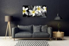 tulup.si Slika na akrilnem steklu Beautiful flower plumeria 100x50 cm 2 obešalnika