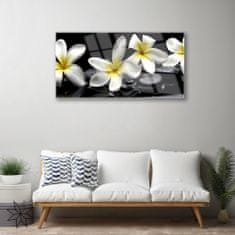 tulup.si Slika na akrilnem steklu Beautiful flower plumeria 100x50 cm 2 obešalnika