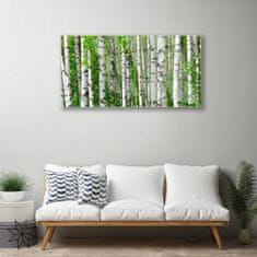 tulup.si Slika na akrilnem steklu Narava rastlin forest trees 100x50 cm 2 obešalnika