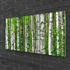 tulup.si Slika na akrilnem steklu Narava rastlin forest trees 100x50 cm 2 obešalnika