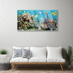 tulup.si Slika na akrilnem steklu Barrier reef narava 100x50 cm 4 obešalnika