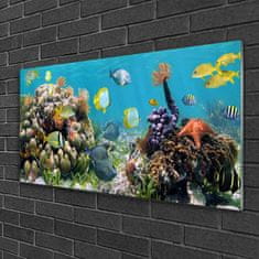 tulup.si Slika na akrilnem steklu Barrier reef narava 100x50 cm 4 obešalnika