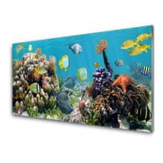 tulup.si Slika na akrilnem steklu Barrier reef narava 100x50 cm 4 obešalnika