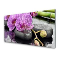 tulup.si Slika na akrilnem steklu Orchid orchid zen spa 100x50 cm 4 obešalnika