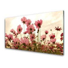 tulup.si Slika na akrilnem steklu Cvetje wildflowers travnik narava 120x60 cm 4 obešalnika