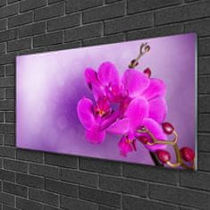 tulup.si Slika na akrilnem steklu Orchid latice cvetje 100x50 cm 2 obešalnika