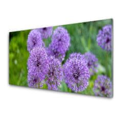 tulup.si Slika na akrilnem steklu Purple travnik flowers 100x50 cm 2 obešalnika