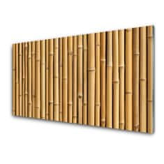 tulup.si Slika na akrilnem steklu Bamboo rastlin narava 120x60 cm 2 obešalnika