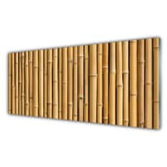 tulup.si Slika na akrilnem steklu Bamboo rastlin narava 125x50 cm 4 obešalnika