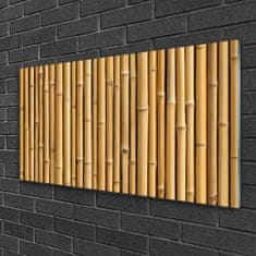 tulup.si Slika na akrilnem steklu Bamboo rastlin narava 120x60 cm 2 obešalnika