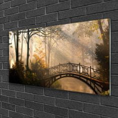 tulup.si Slika na akrilnem steklu Forest bridge arhitektura 100x50 cm 4 obešalnika