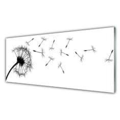 tulup.si Slika na akrilnem steklu Regrat dandelion flower 125x50 cm 2 obešalnika