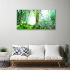 tulup.si Slika na akrilnem steklu Forest moss narava 120x60 cm 2 obešalnika