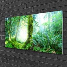 tulup.si Slika na akrilnem steklu Forest moss narava 120x60 cm 2 obešalnika