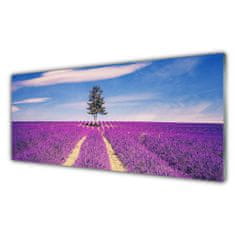 tulup.si Slika na akrilnem steklu Lavender polje travnik drevo 125x50 cm 2 obešalnika