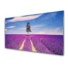 tulup.si Slika na akrilnem steklu Lavender polje travnik drevo 120x60 cm 4 obešalnika