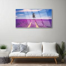 tulup.si Slika na akrilnem steklu Lavender polje travnik drevo 120x60 cm 4 obešalnika