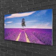 tulup.si Slika na akrilnem steklu Lavender polje travnik drevo 120x60 cm 4 obešalnika