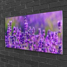 tulup.si Slika na akrilnem steklu Purple lavender polje 100x50 cm 4 obešalnika