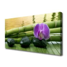 tulup.si Slika na platnu Flower stones bamboo narava 125x50 cm