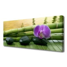 tulup.si Slika na platnu Flower stones bamboo narava 125x50 cm