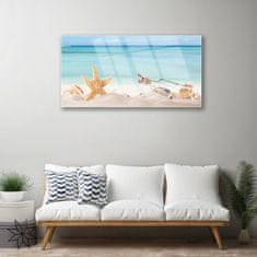 tulup.si Slika na akrilnem steklu Starfish školjke beach 100x50 cm 4 obešalnika