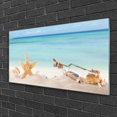 tulup.si Slika na akrilnem steklu Starfish školjke beach 100x50 cm 4 obešalnika