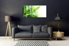 tulup.si Slika na steklu Bamboo leaf narava rastlin 125x50 cm 4 obešalnika