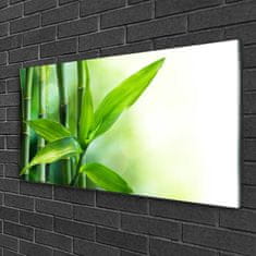 tulup.si Slika na akrilnem steklu Bamboo leaf narava rastlin 100x50 cm 2 obešalnika