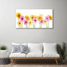 tulup.si Slika na akrilnem steklu Pisane daisy cvetje 100x50 cm 4 obešalnika