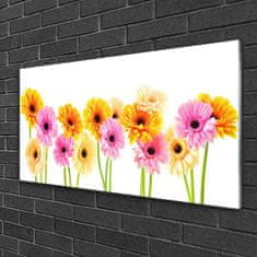 tulup.si Slika na akrilnem steklu Pisane daisy cvetje 100x50 cm 4 obešalnika