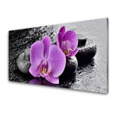 tulup.si Slika na akrilnem steklu Orchid cvetje orchid spa 120x60 cm 4 obešalnika