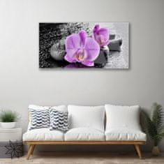 tulup.si Slika na akrilnem steklu Orchid cvetje orchid spa 120x60 cm 4 obešalnika