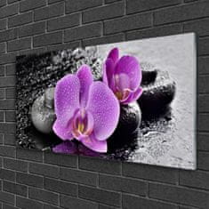 tulup.si Slika na akrilnem steklu Orchid cvetje orchid spa 120x60 cm 4 obešalnika