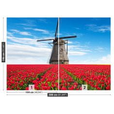 tulup.si Fototapeta Tulipani vetrnica Tapeta 208x146 cm