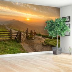 tulup.si Fototapeta Golden sunrise Tapeta 250x104 cm