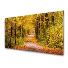 tulup.si Slika na akrilnem steklu Narava rastlin forest lane 125x50 cm 4 obešalnika