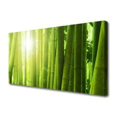 tulup.si Slika na platnu Bamboo rastlin 100x50 cm