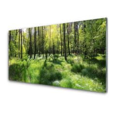 tulup.si Slika na akrilnem steklu Forest grass nature rastlin 100x50 cm 2 obešalnika