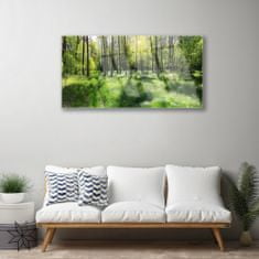 tulup.si Slika na akrilnem steklu Forest grass nature rastlin 100x50 cm 2 obešalnika