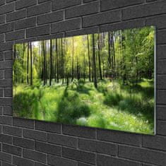 tulup.si Slika na akrilnem steklu Forest grass nature rastlin 100x50 cm 2 obešalnika