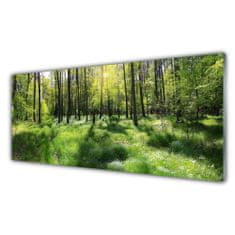 tulup.si Slika na akrilnem steklu Forest grass nature rastlin 125x50 cm 4 obešalnika