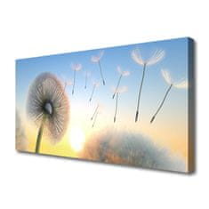 tulup.si Slika na platnu Dandelion flower rastlin 125x50 cm