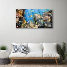 tulup.si Slika na akrilnem steklu Barrier reef narava 100x50 cm 2 obešalnika