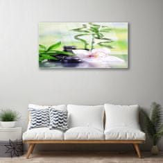 tulup.si Slika na akrilnem steklu Bamboo orchid zen spa 100x50 cm 2 obešalnika