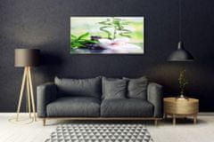 tulup.si Slika na akrilnem steklu Bamboo orchid zen spa 100x50 cm 2 obešalnika