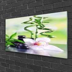 tulup.si Slika na akrilnem steklu Bamboo orchid zen spa 100x50 cm 2 obešalnika