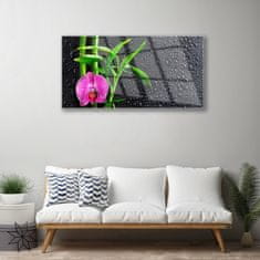 tulup.si Slika na akrilnem steklu Bamboo flower drops 120x60 cm 4 obešalnika