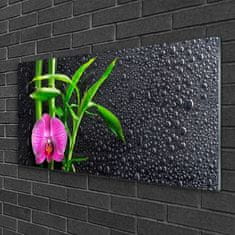 tulup.si Slika na akrilnem steklu Bamboo flower drops 120x60 cm 4 obešalnika