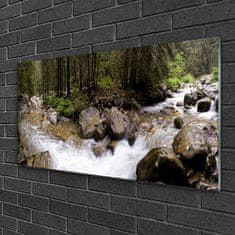 tulup.si Slika na akrilnem steklu Forest river slapovi 120x60 cm 2 obešalnika